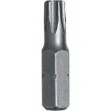 Bit Stahlberg T20 25mm S2/2ks/